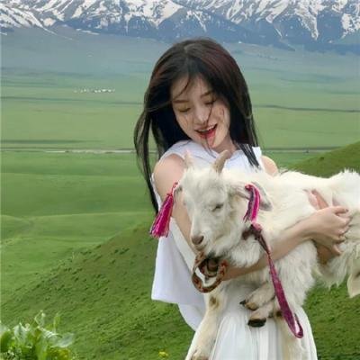 我的狗子